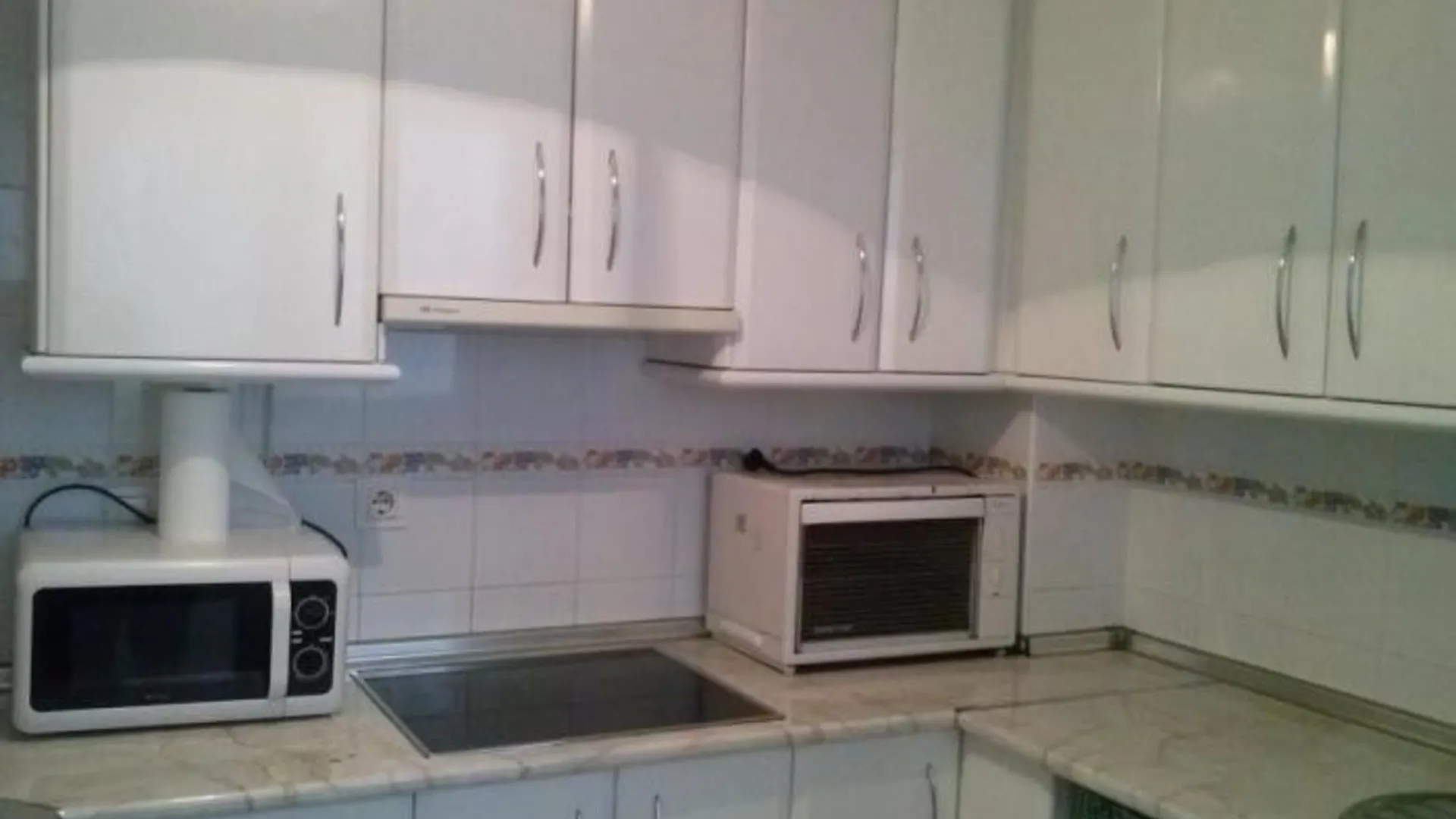 Apartment In Malaga 100712